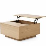Natural Square Lift Top Coffee Table Hidden Storage