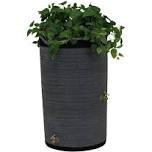 Good Ideas IMP - D50 - DAR Impressions Downton Rain Saver Rain Barrel, 50 Gallon, Dark Granite, Dark Granite - Dark Ribs