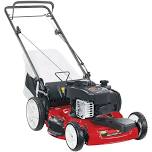 22 in Briggs Stratton High Wheel Variable Speed Gas Walk Behind Self Propelled Lawn Mower with Bagger